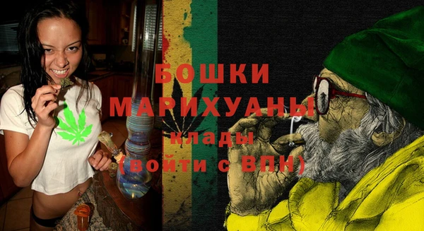 ГАЛЛЮЦИНОГЕННЫЕ ГРИБЫ Арсеньев