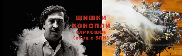 дживик Пересвет