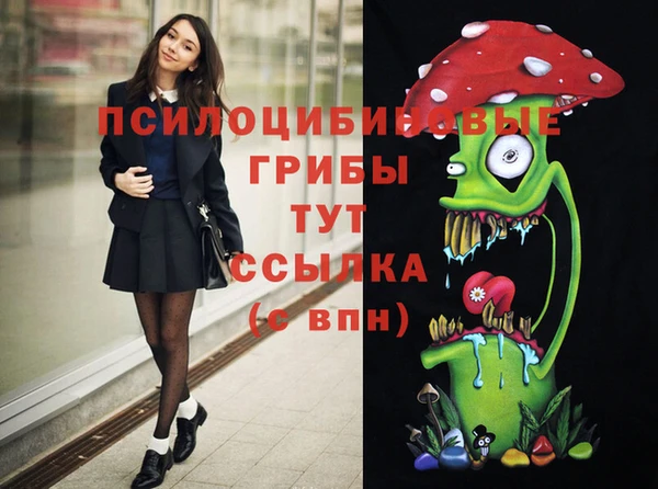 гашик Баксан
