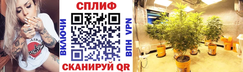 Марихуана Bruce Banner  наркотики  Белокуриха 